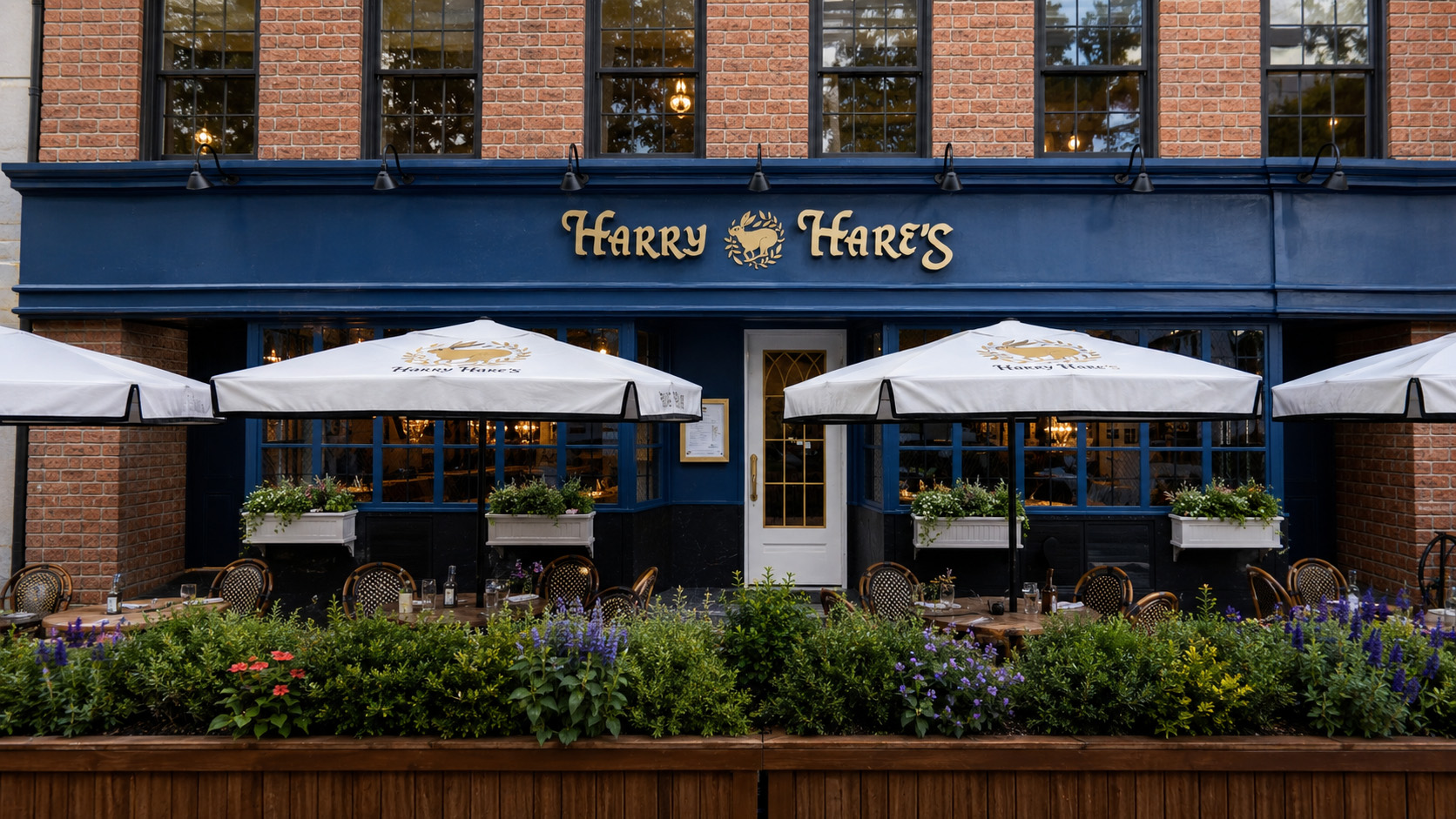 Harry Hare's